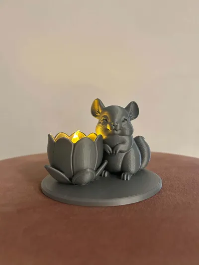 Chinchilla Mumluk